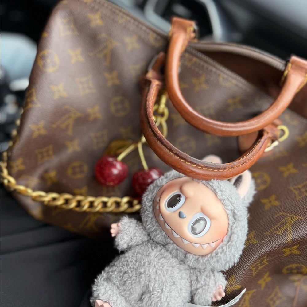 Authentic Vintage Louis Vuitton
Speedy handbag